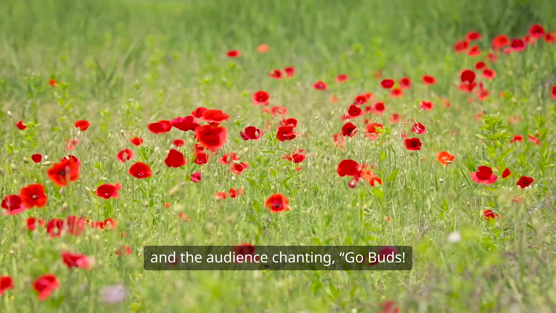 Video thumbnail for Blind Melon