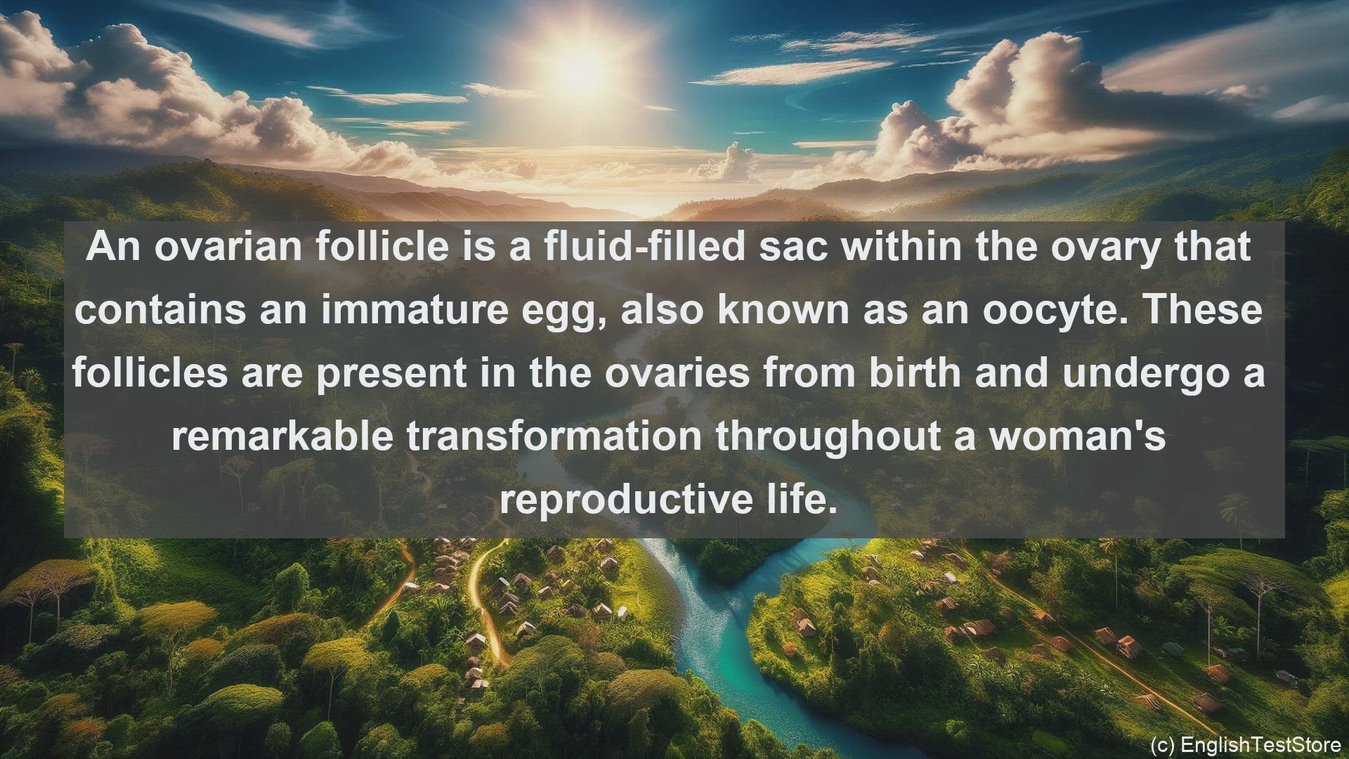 'Video thumbnail for Ovarian follicle in science  definition and examples'