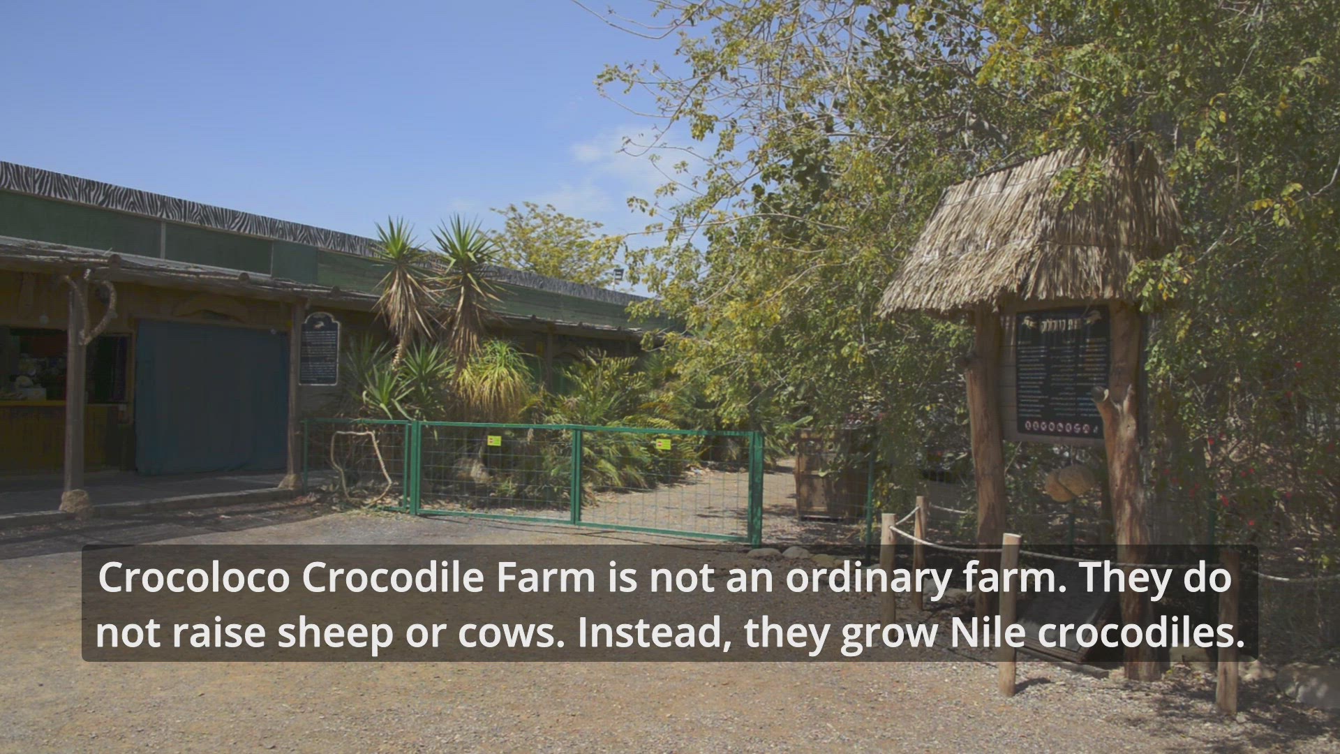 'Video thumbnail for Crocoloco Farm'
