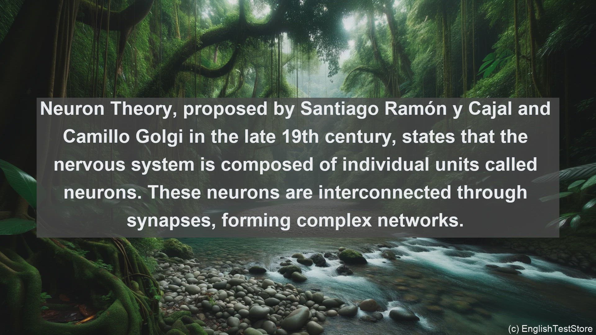 'Video thumbnail for Neuron theory in science  definition and examples'