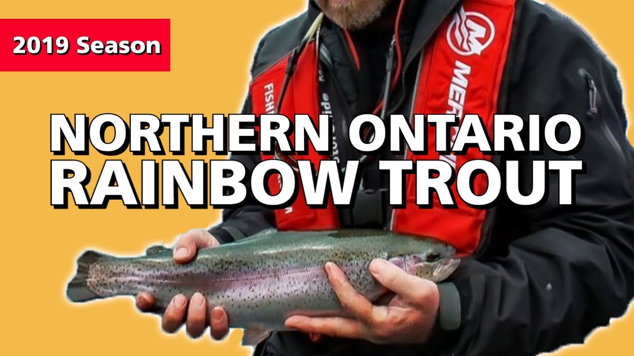 'Video thumbnail for Northern Ontario Rainbow Trout | Fish'n Canada'