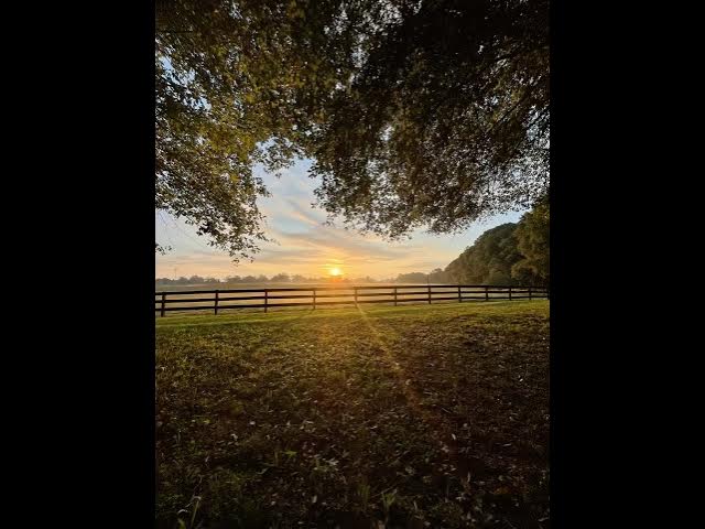 Video thumbnail for Sunday morning bible study:)