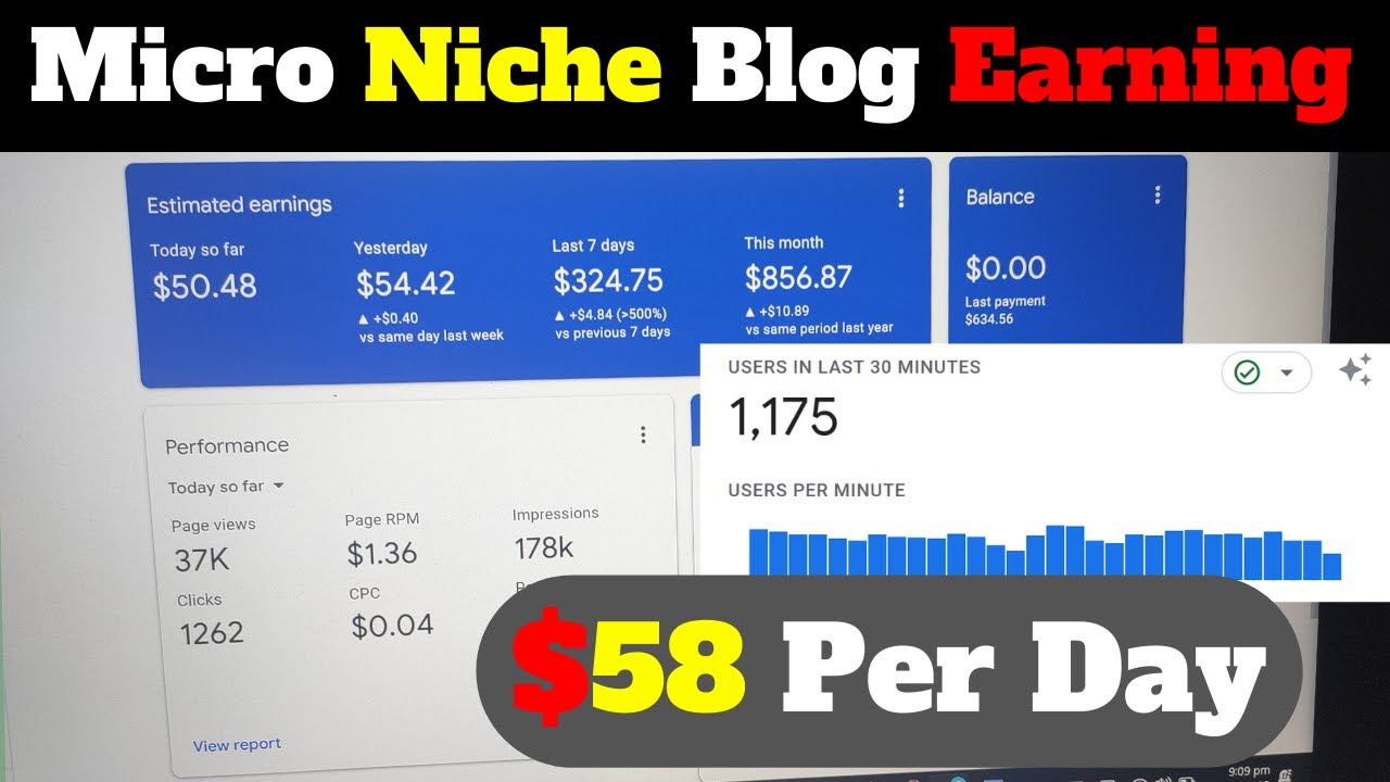 Video thumbnail for Micro Niche Blog Earning 1 Day Earning $58+ | Secret Micro Niche 1.5 Million Monthly Traffic