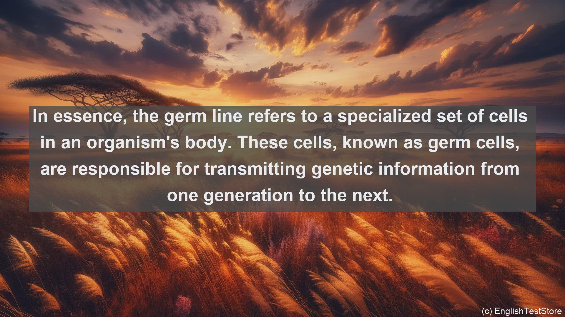 'Video thumbnail for Germ line in science  definition and examples'