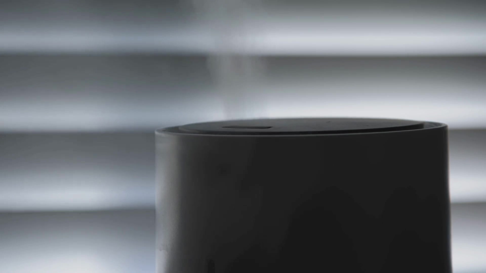 Video thumbnail for Can You Put Essential Oils in a Humidifier?