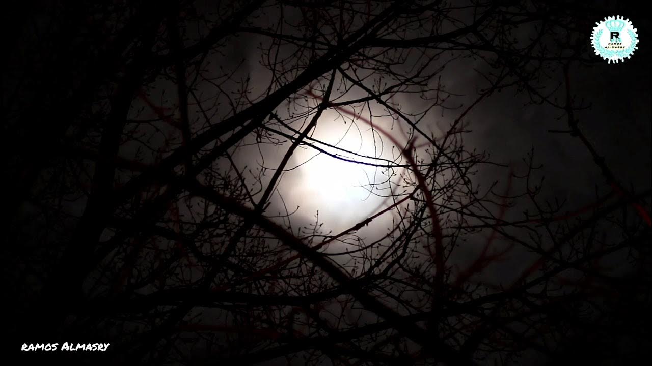 'Video thumbnail for وكان الإنسان عجولا- سورة الاسراء- القطامي'