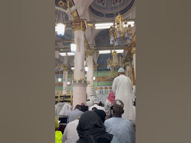 Video thumbnail for Masjid al nabawi #madina #aliza #ayeshavilla #tawafekaba #trustonallah #saudiaarbia #viralvideo