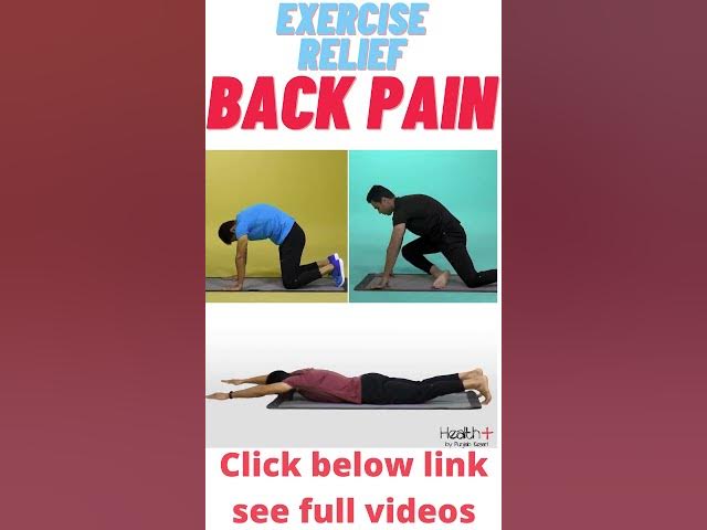 Video thumbnail for Exercise which relief lower back pain💪 #Shorts