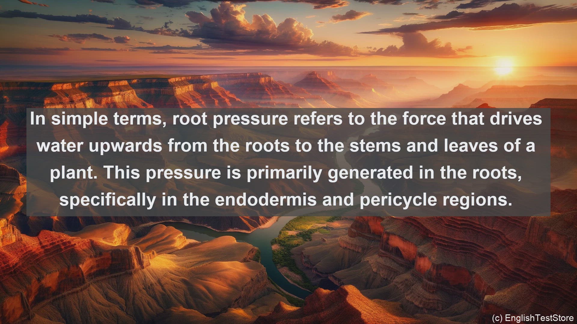 'Video thumbnail for Root pressure in science  definition and examples'