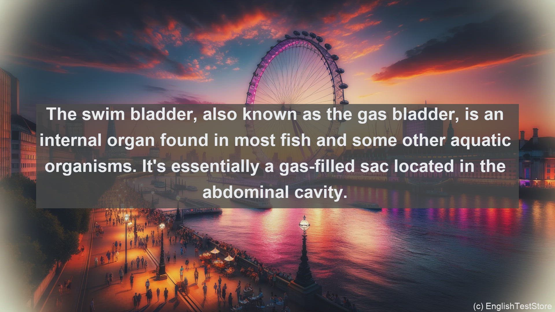 'Video thumbnail for Swim bladder in science  definition and examples'