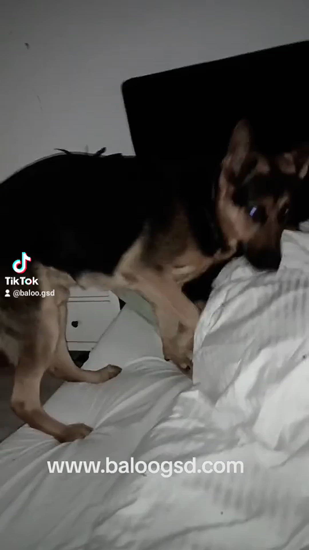 'Video thumbnail for Baloo-star.com'