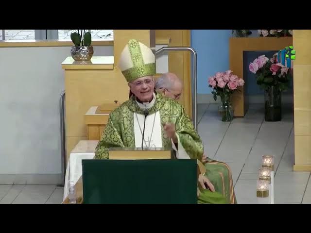 Video thumbnail for Homilía de monseñor Silvio Báez Miami Domingo XXVII del Tiempo Ordinario