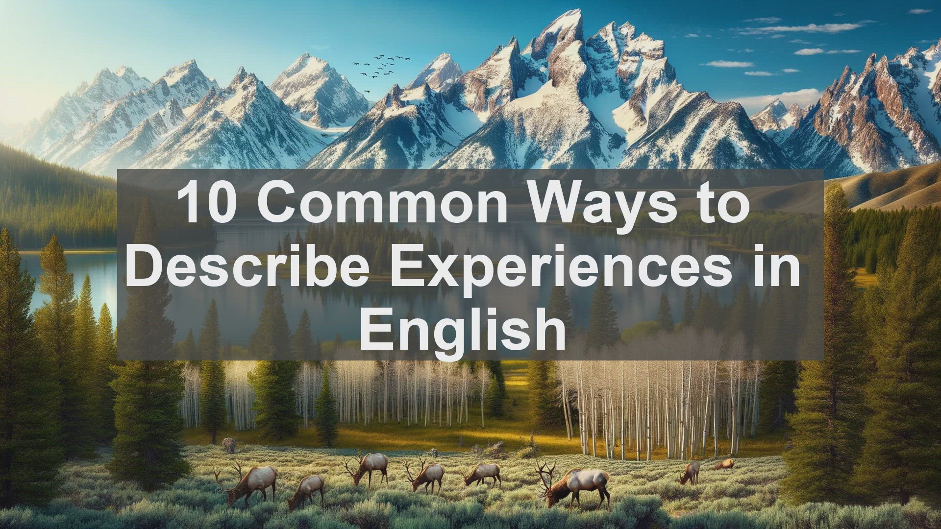 'Video thumbnail for 10 Common Ways to Describe Experiences in English '