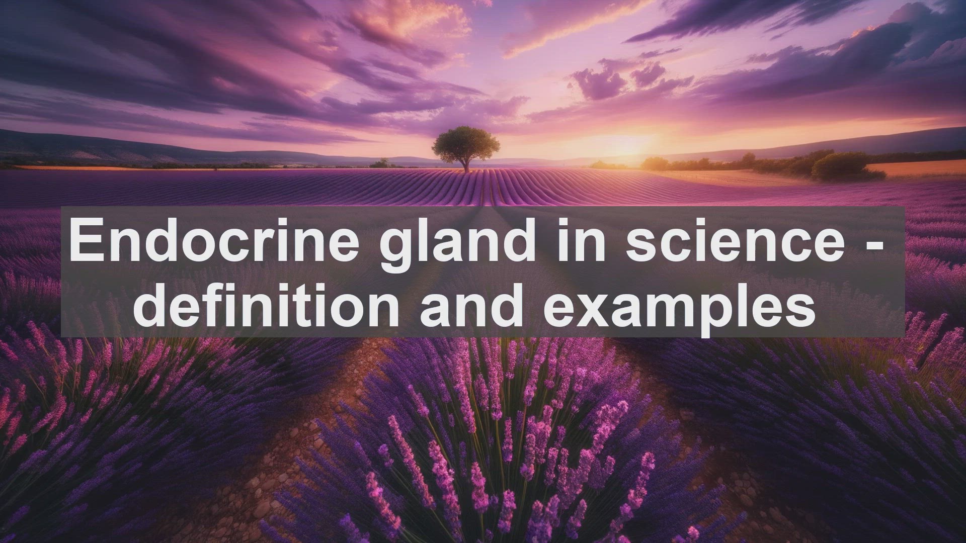 'Video thumbnail for Endocrine gland in science  definition and examples'