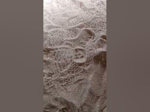 Video thumbnail for 21 April 2022