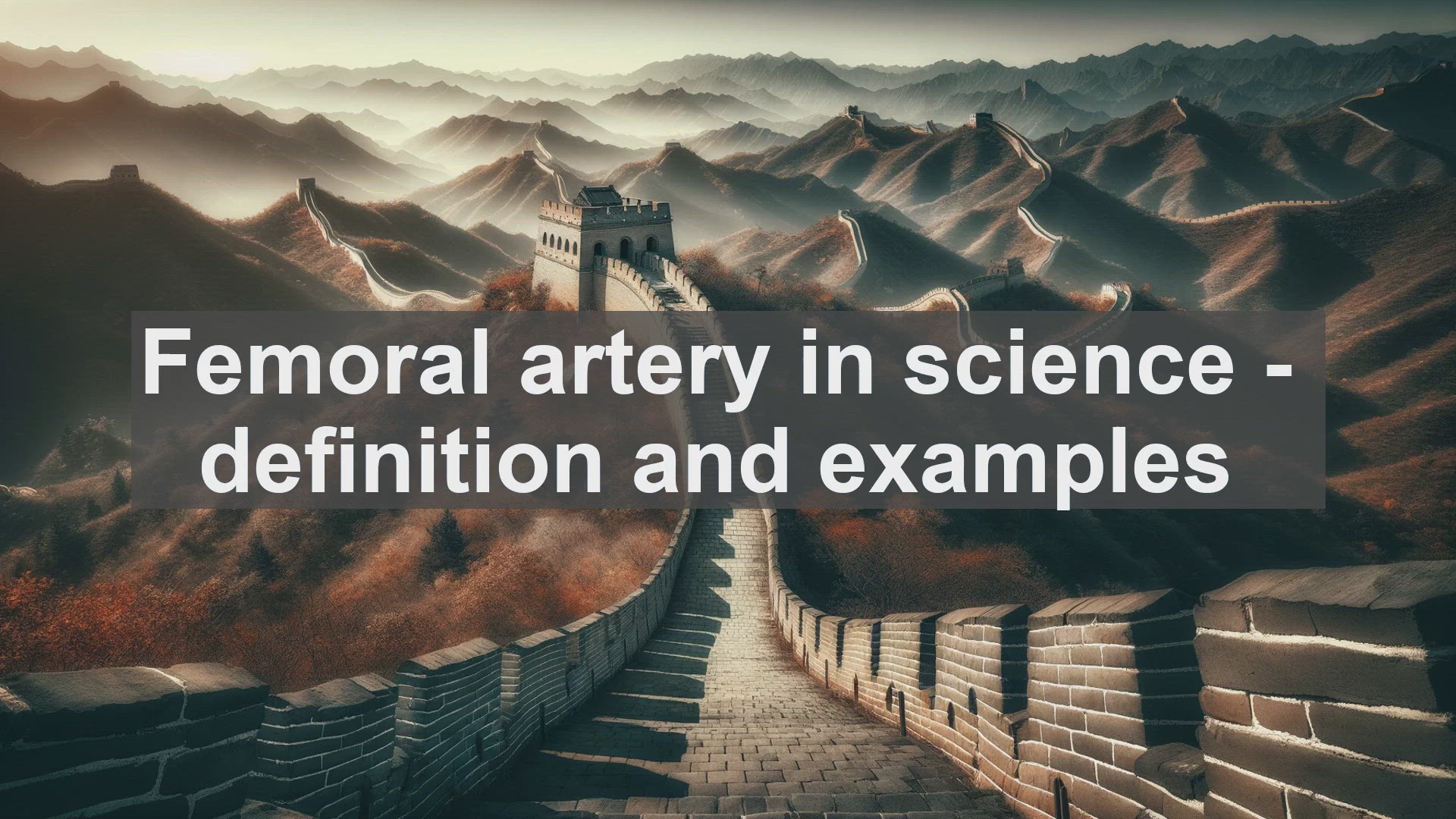 'Video thumbnail for Femoral artery in science  definition and examples'