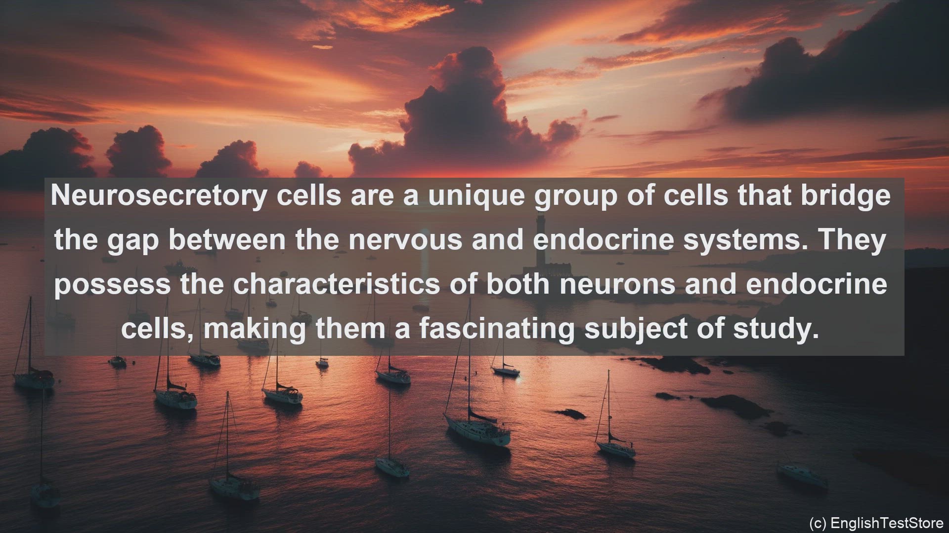 'Video thumbnail for Neurosecretory cells in science  definition and examples'