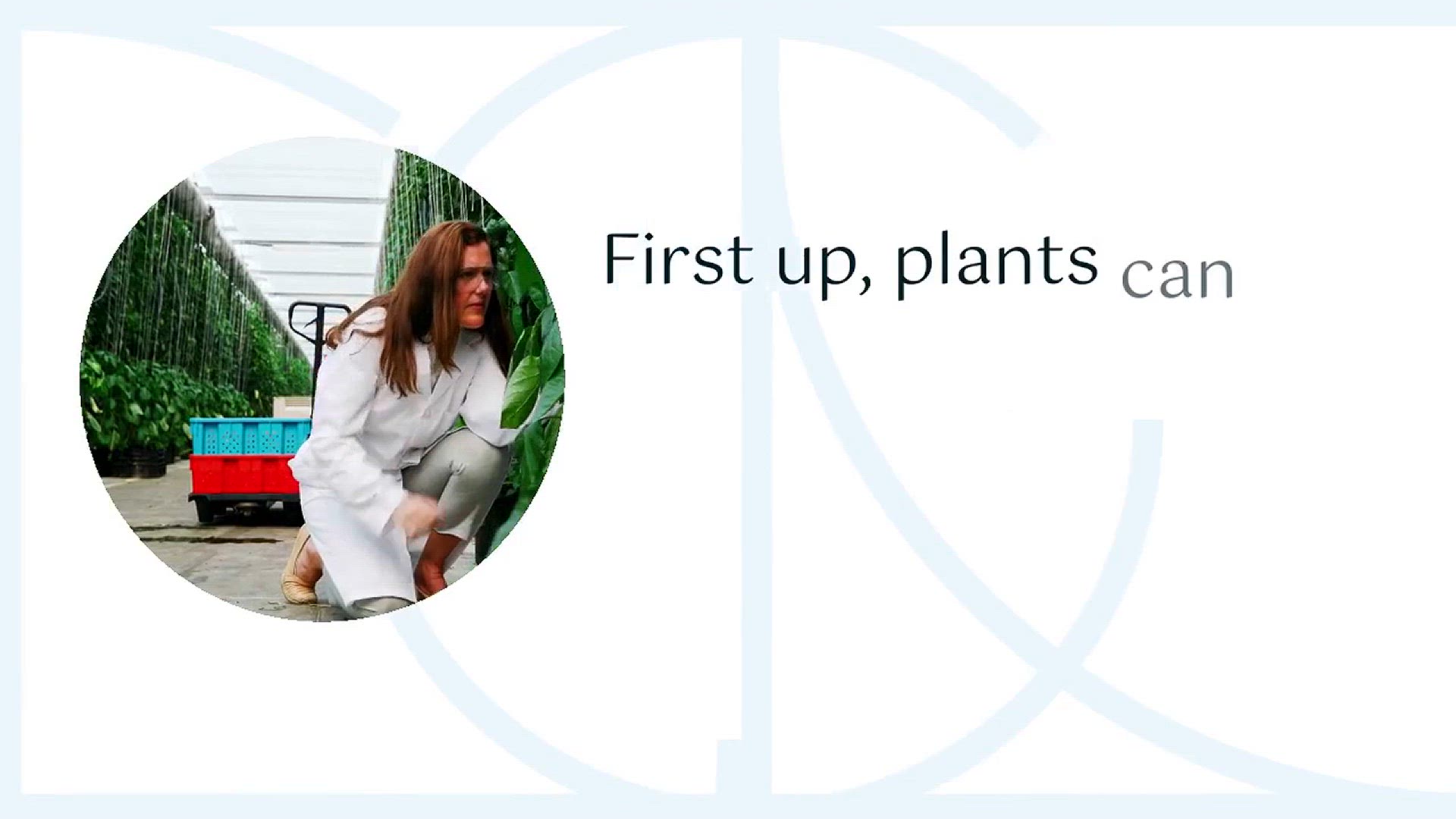 Video thumbnail for The Secret Life of Plants 3 Amazing Plant Facts that would Blow your Mind!