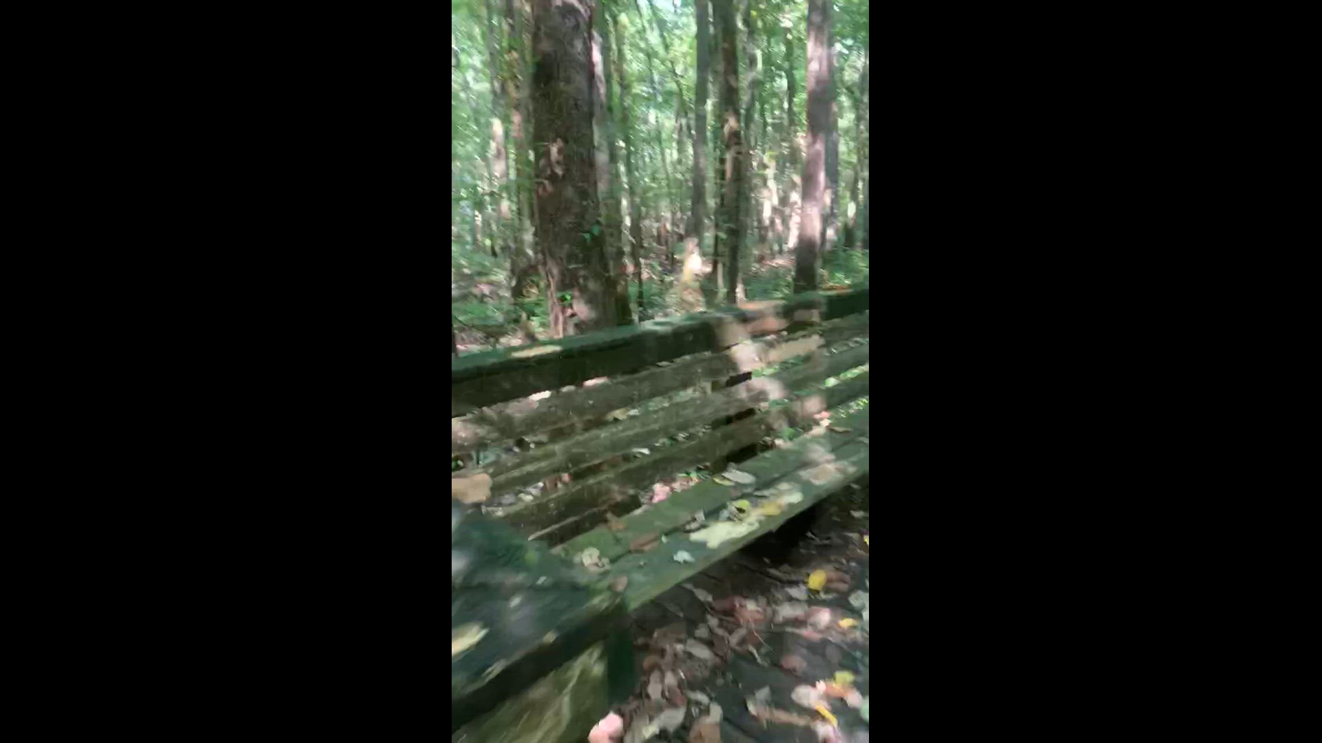 Video thumbnail for Walking trail