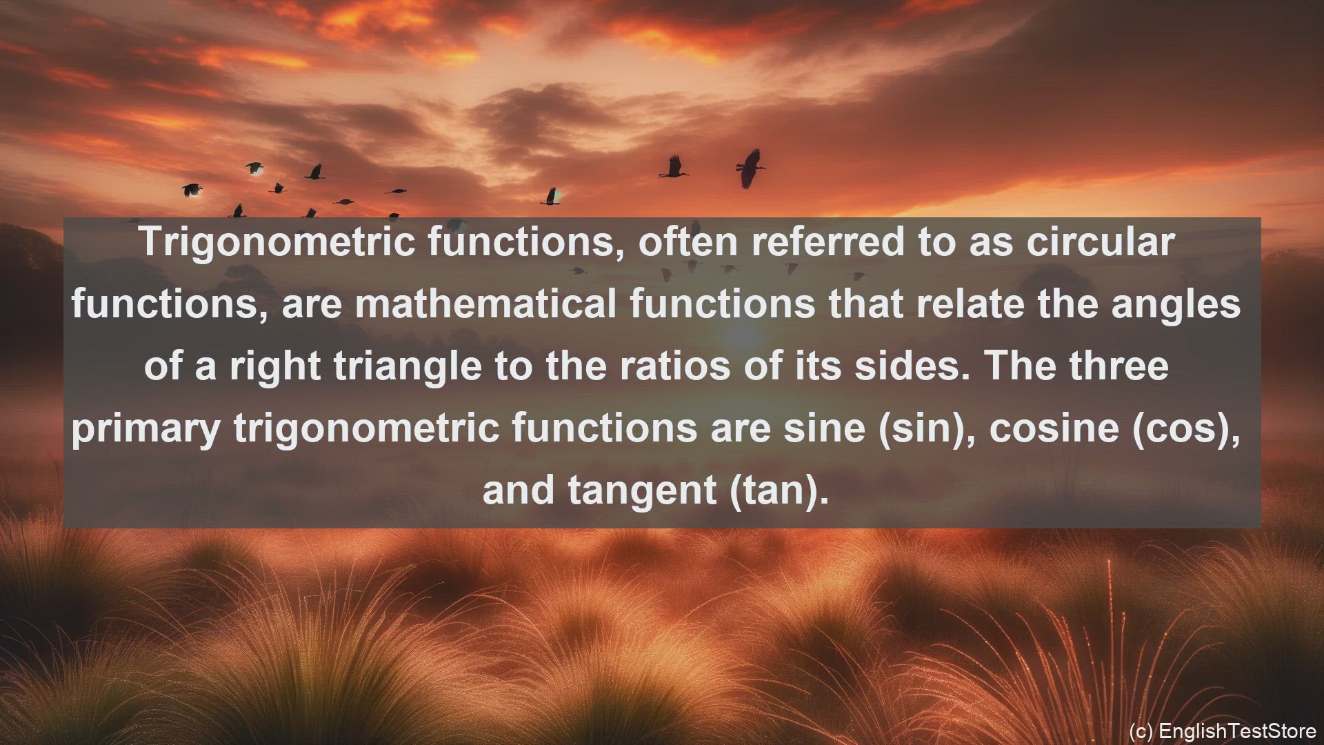 'Video thumbnail for Trigonometric functions in science  definition and examples'