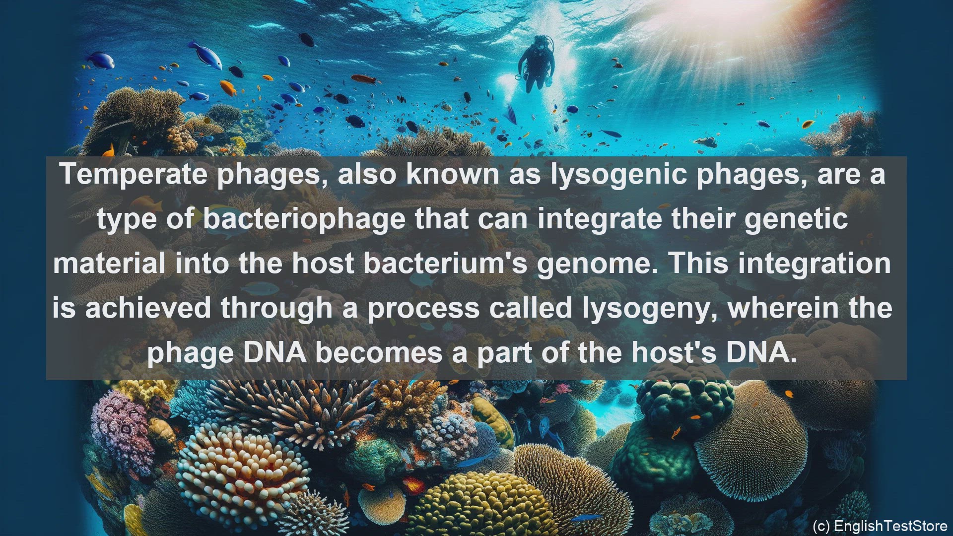 'Video thumbnail for Temperate phages in science  definition and examples'