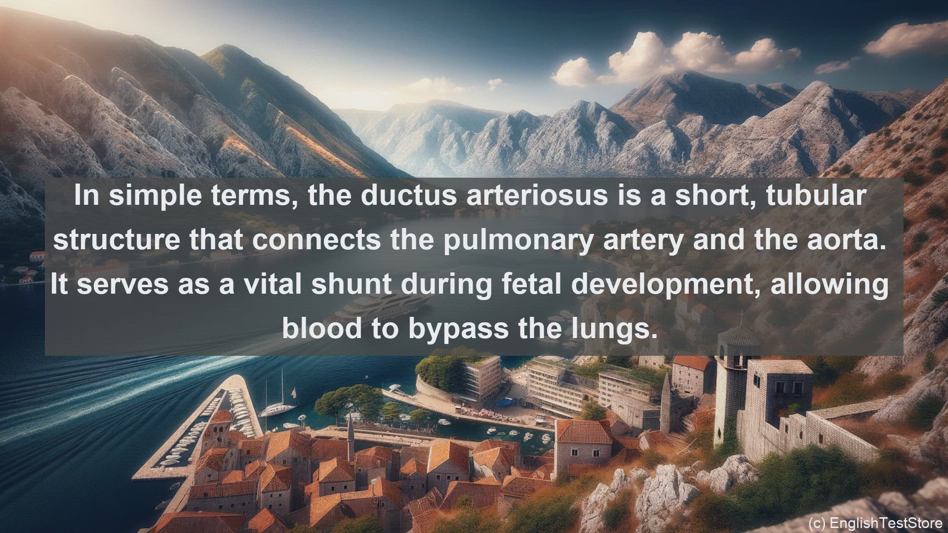 'Video thumbnail for Ductus arteriosus in science  definition and examples'