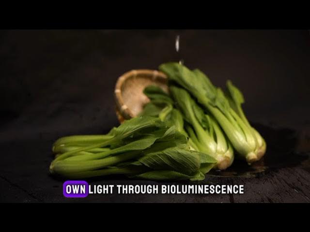 'Video thumbnail for Cosmic Kaleidoscope /clean fun facts'