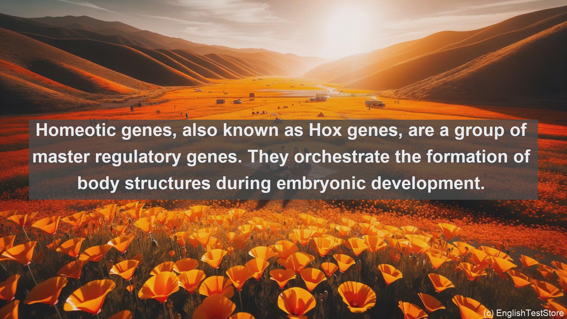 'Video thumbnail for Homeotic genes in science  definition and examples'
