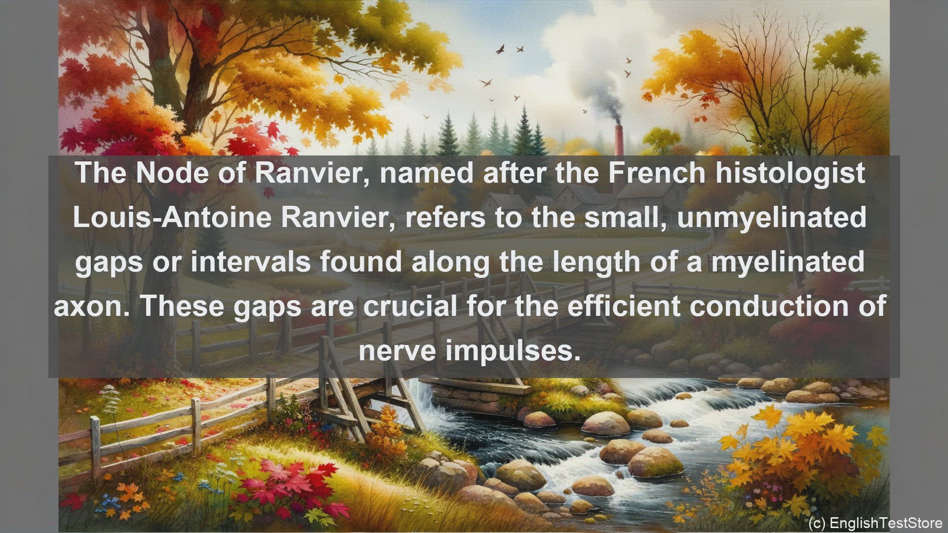 'Video thumbnail for Node of ranvier in science  definition and examples'