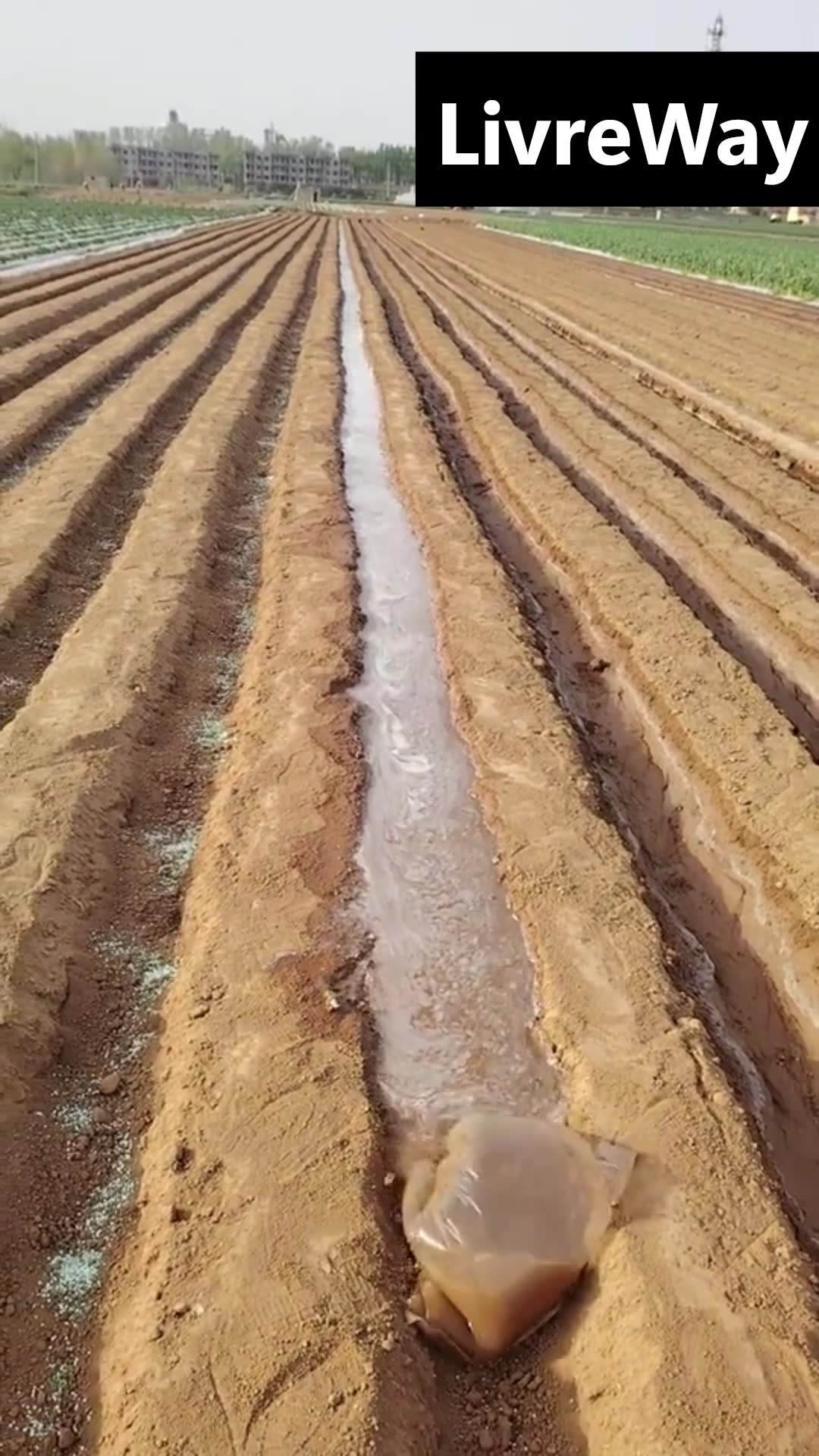 'Video thumbnail for Tecnologias da agricultura'
