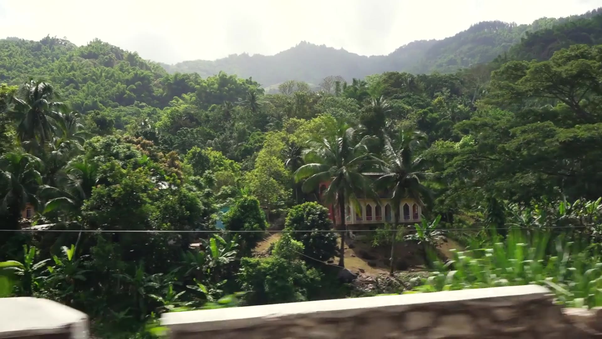 'Video thumbnail for Hidden Gems In Portland, Jamaica! Jamaican Curry Crab!'