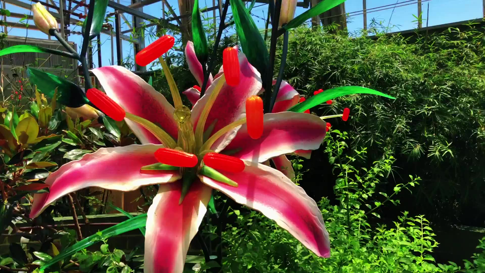 Video thumbnail for Amazing Butterfly Wonderland In Phoenix, Arizona