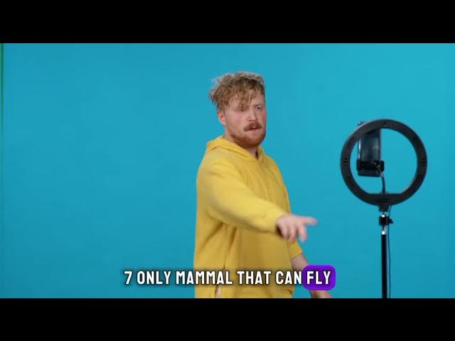 'Video thumbnail for Quirky Chronicles: A Collection of Delightfully Dumb Fun Facts'