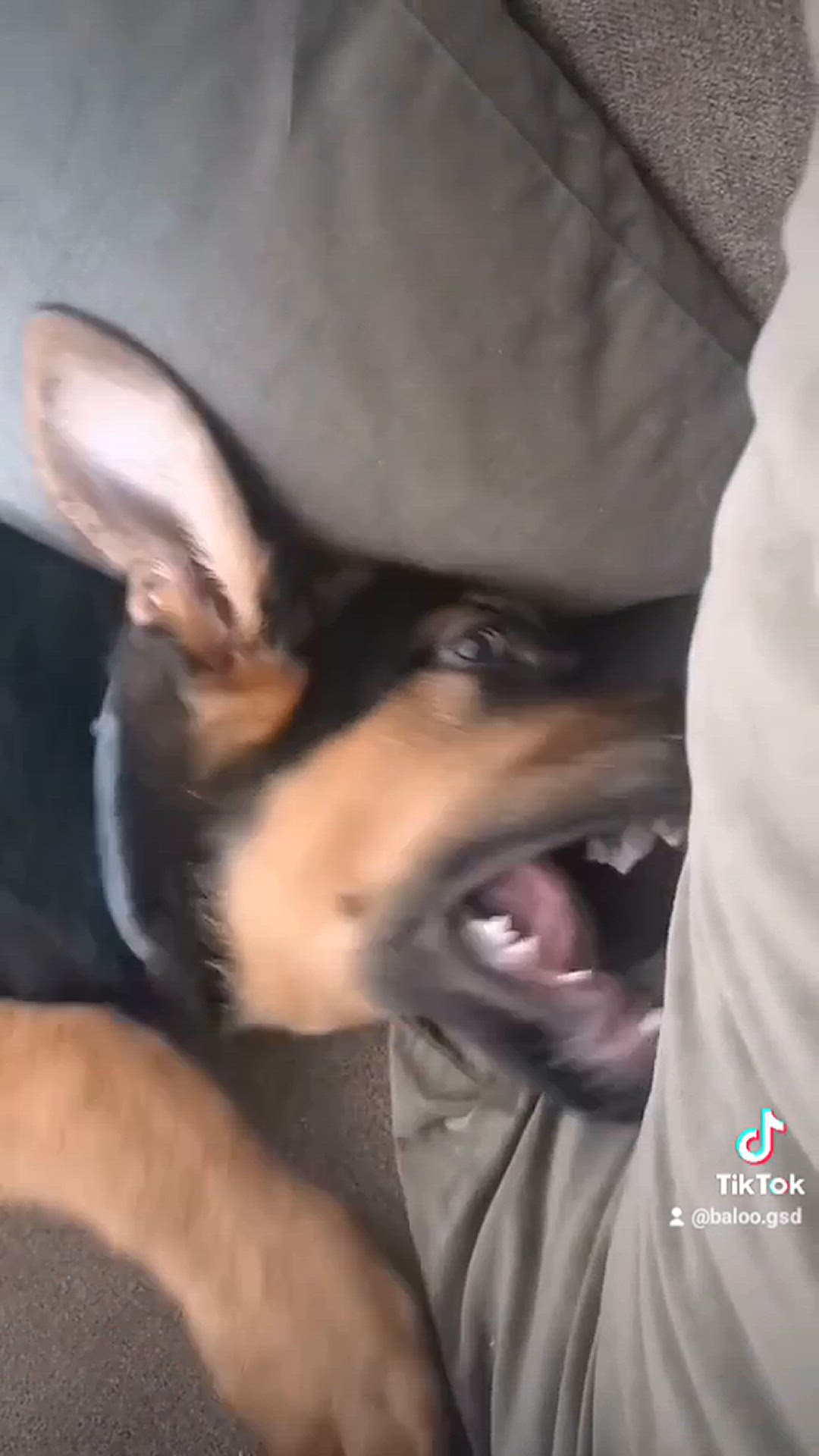 'Video thumbnail for Baloo-star.com'