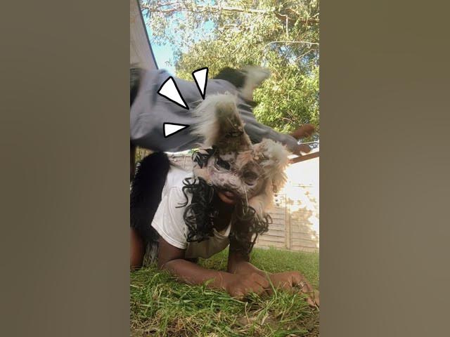 Video thumbnail for 5 October 2025