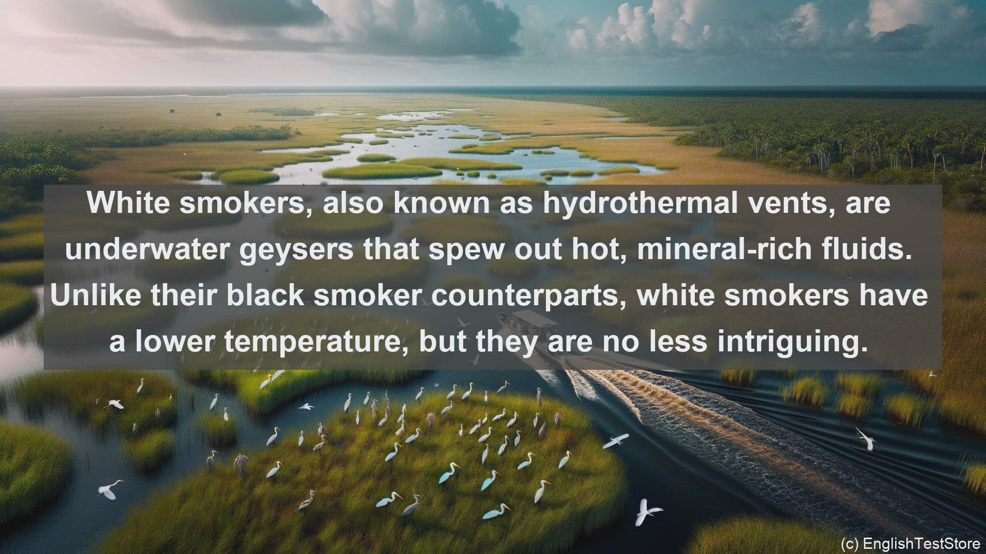'Video thumbnail for White smokers in science  definition and examples'