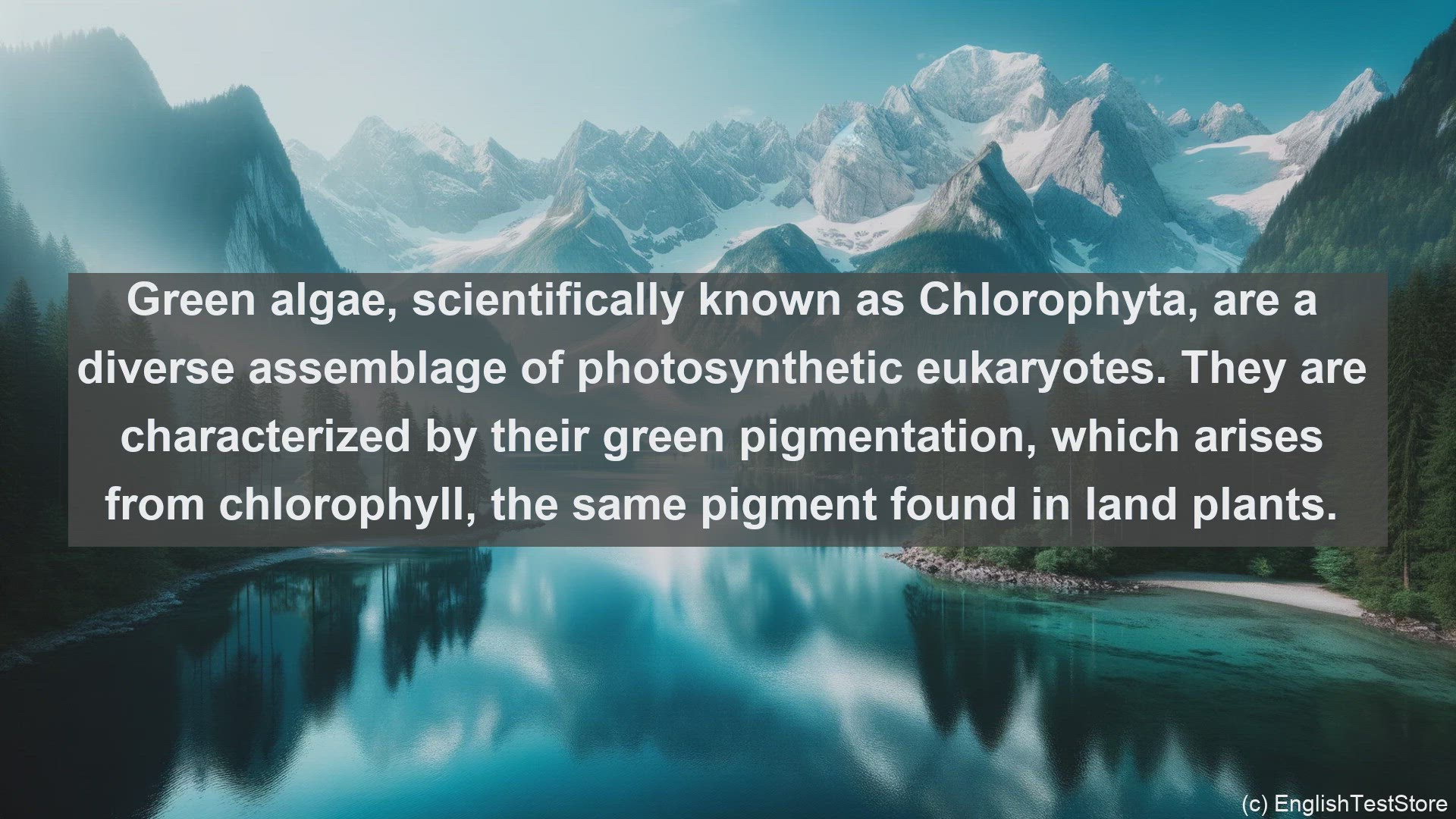 'Video thumbnail for Green algae in science  definition and examples'