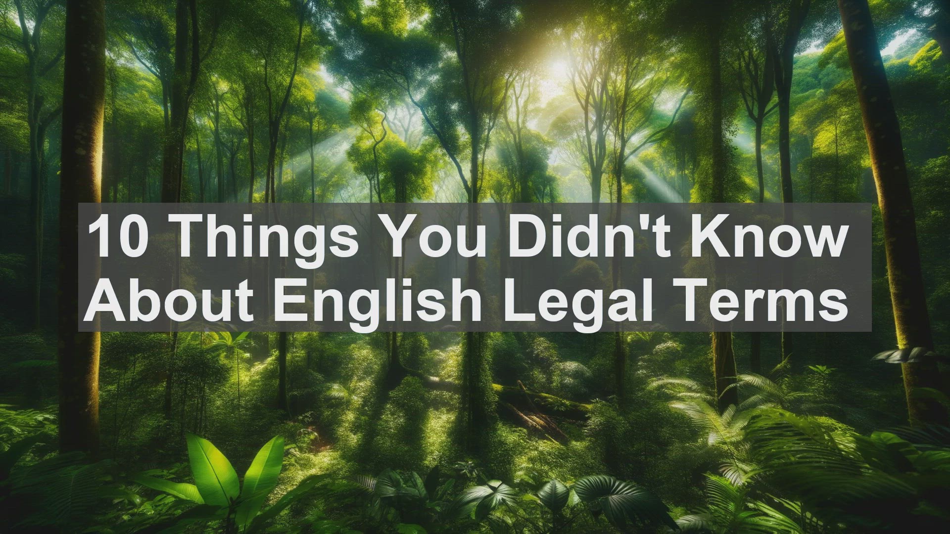 'Video thumbnail for 10 Things You Didn't Know About English Legal Terms '