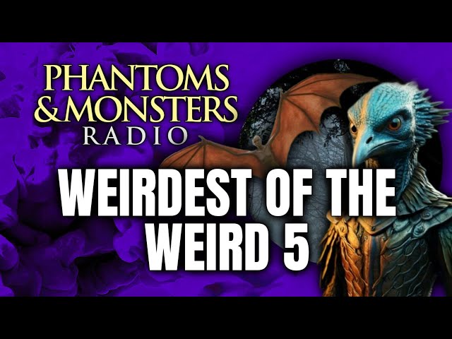 'Video thumbnail for WEIRDEST OF THE WEIRD 5 - CREEPY, UNEXPLAINED ENCOUNTERS | Live Chat Q&A | (EYEWITNESS REPORTS)'