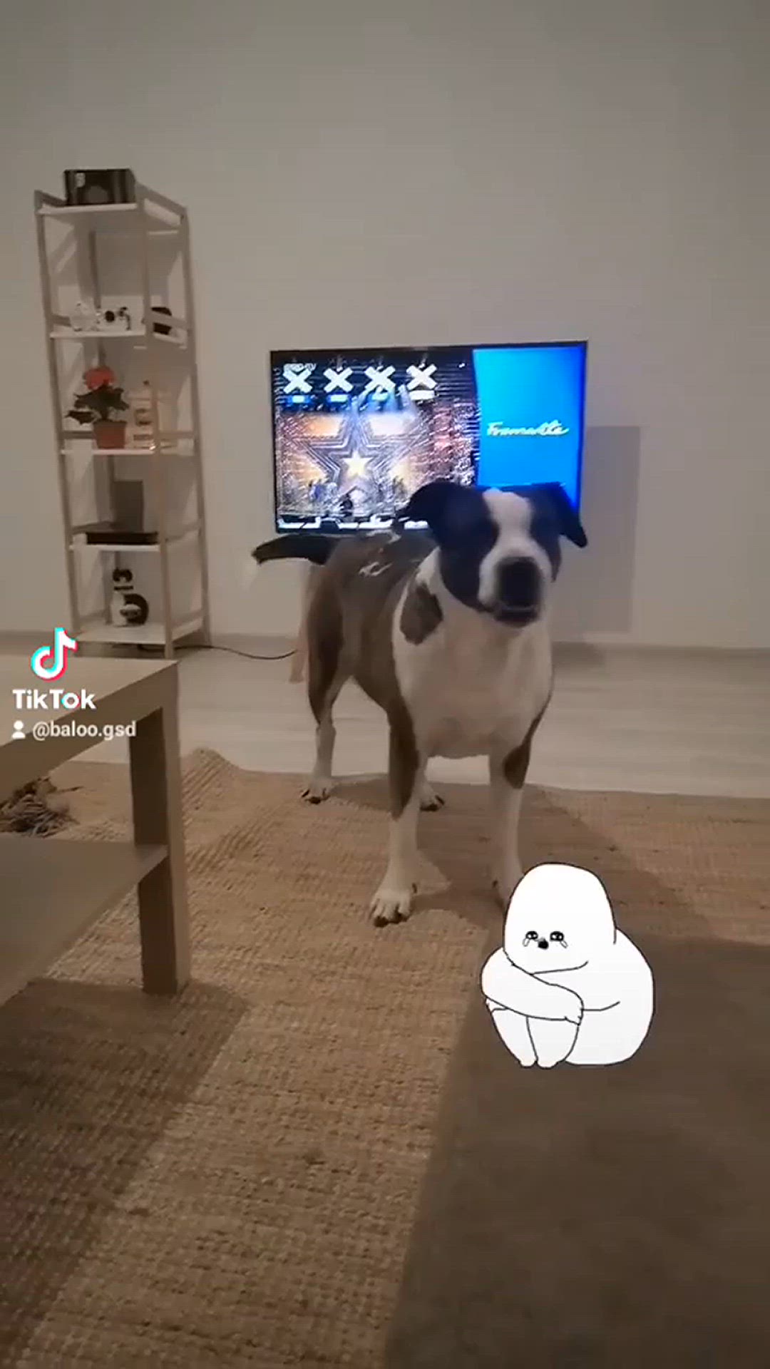 'Video thumbnail for Baloo-Star.com'