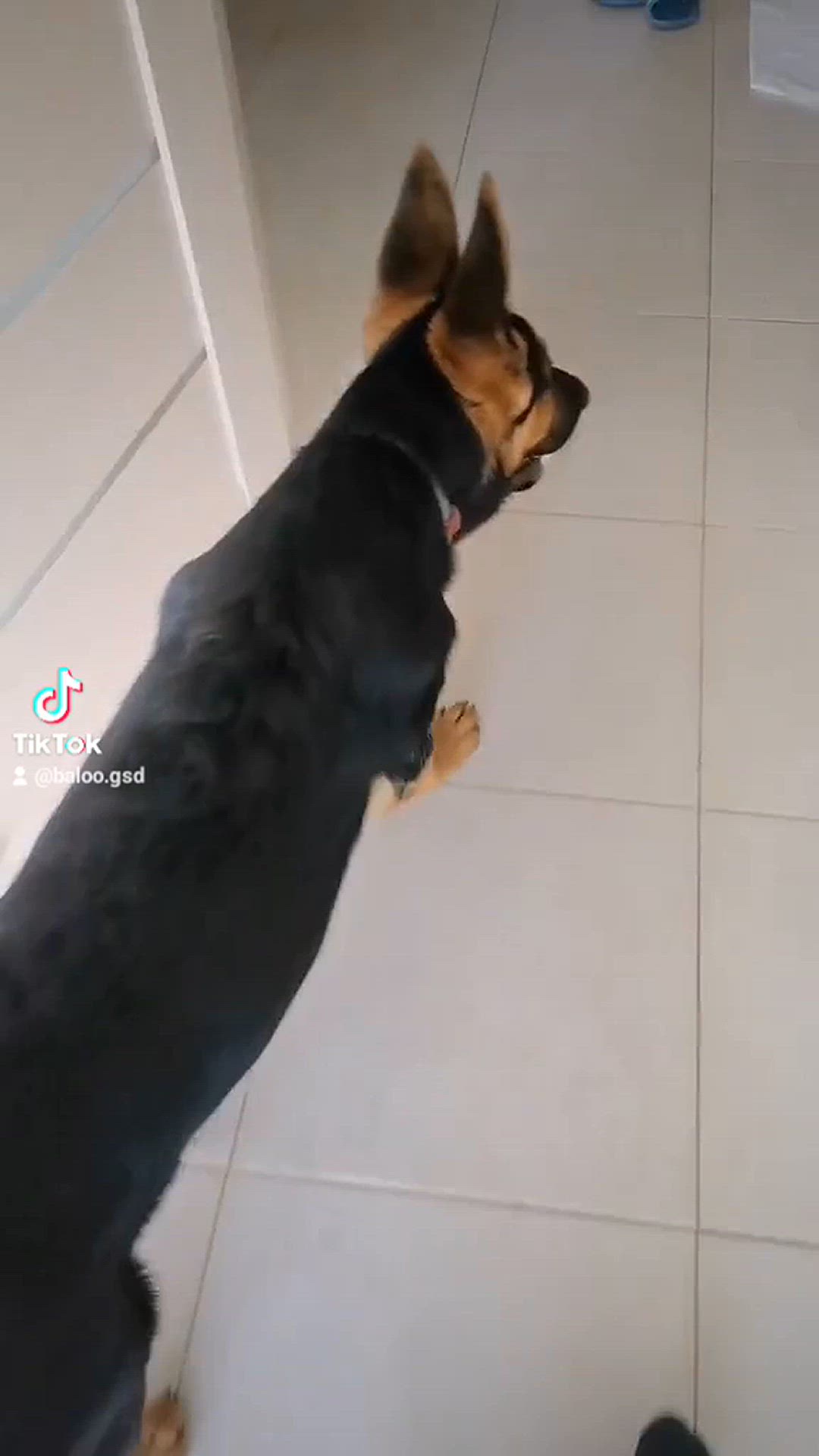 'Video thumbnail for Baloo-star.com'