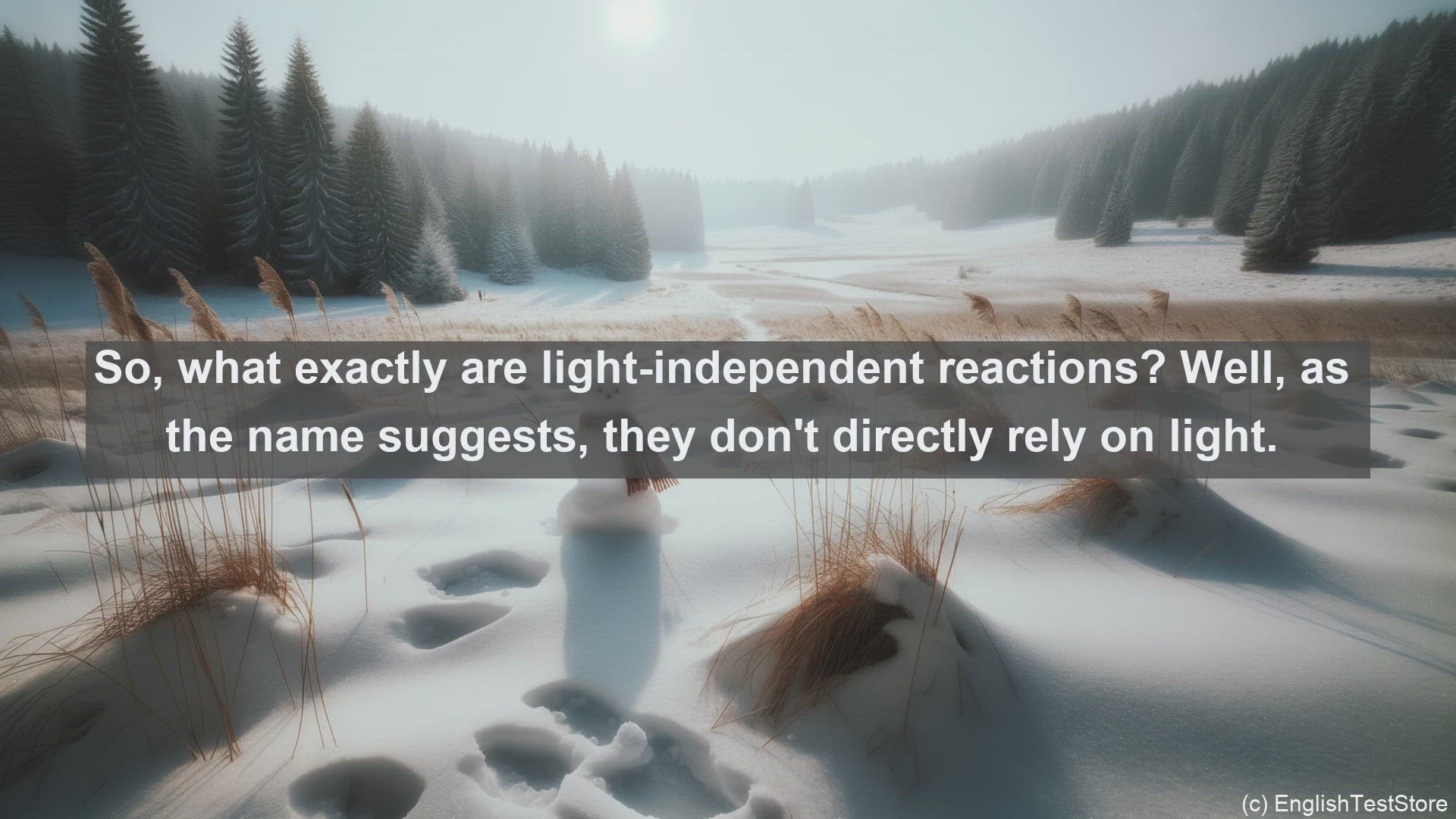 'Video thumbnail for Light independent reactions in science  definition and examples'