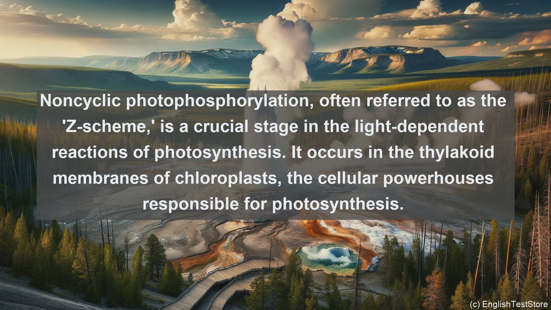 'Video thumbnail for Noncyclic photophosphorylation in science  definition and examples'