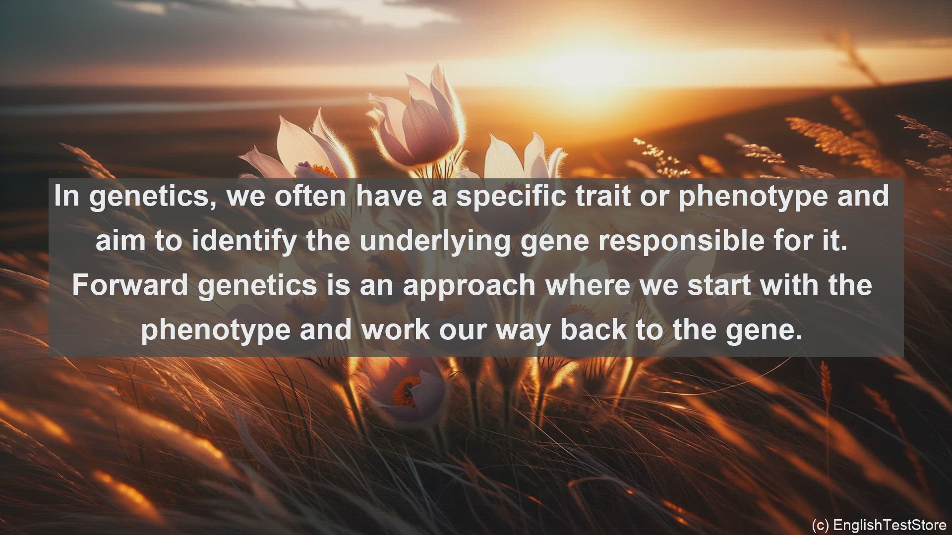 'Video thumbnail for Forward genetics in science  definition and examples'