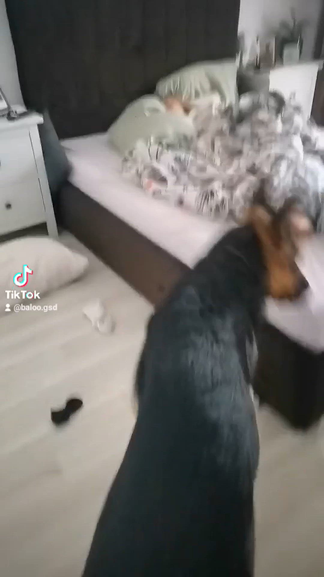 'Video thumbnail for Baloo-star.com'