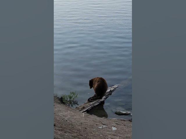 Video thumbnail for Mammoth Lakes 🎣 🏞