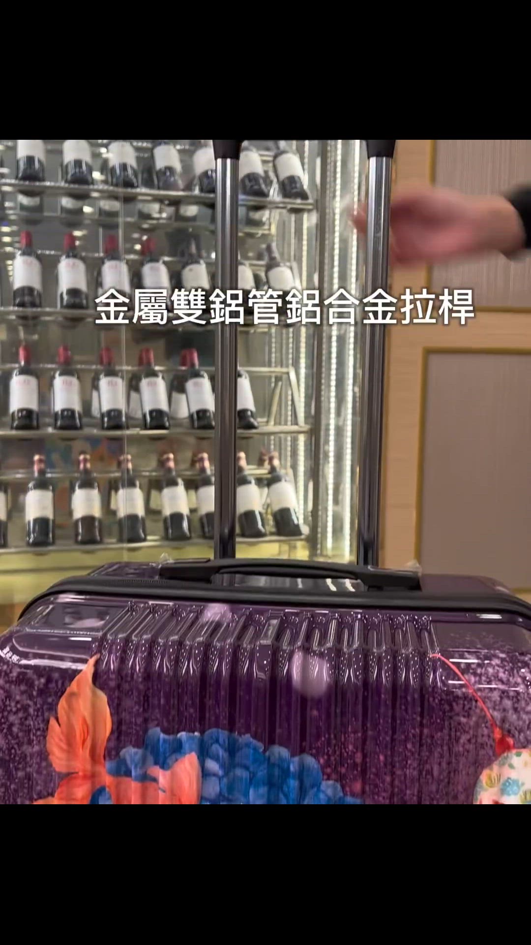 Video thumbnail for 【港澳專區】二代版 毓 NaSaDen納莎登新無憂【英格藍貓聯名款】貓咪的四季印花拉鍊行李箱