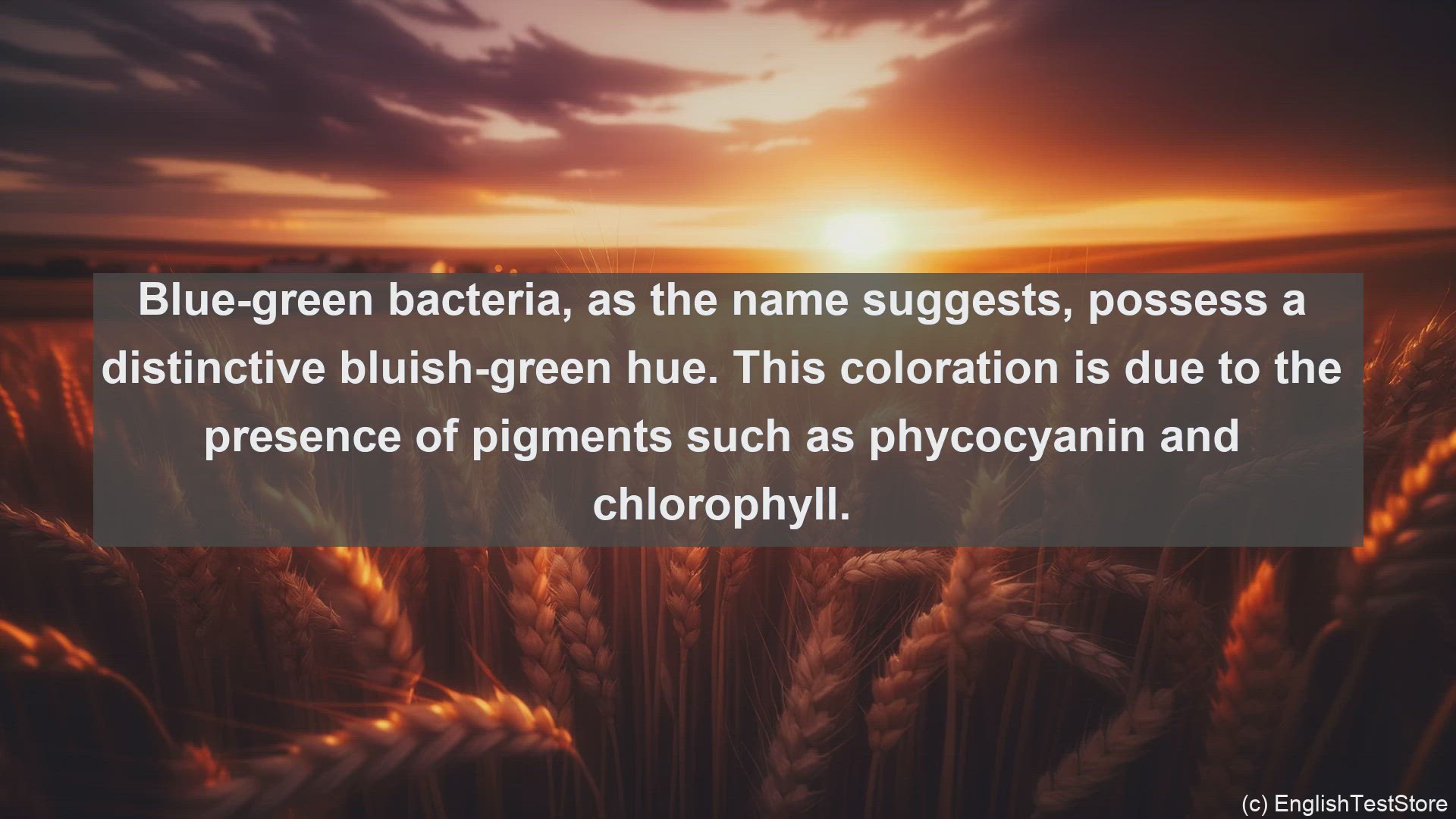 'Video thumbnail for Blue green bacteria in science  definition and examples'