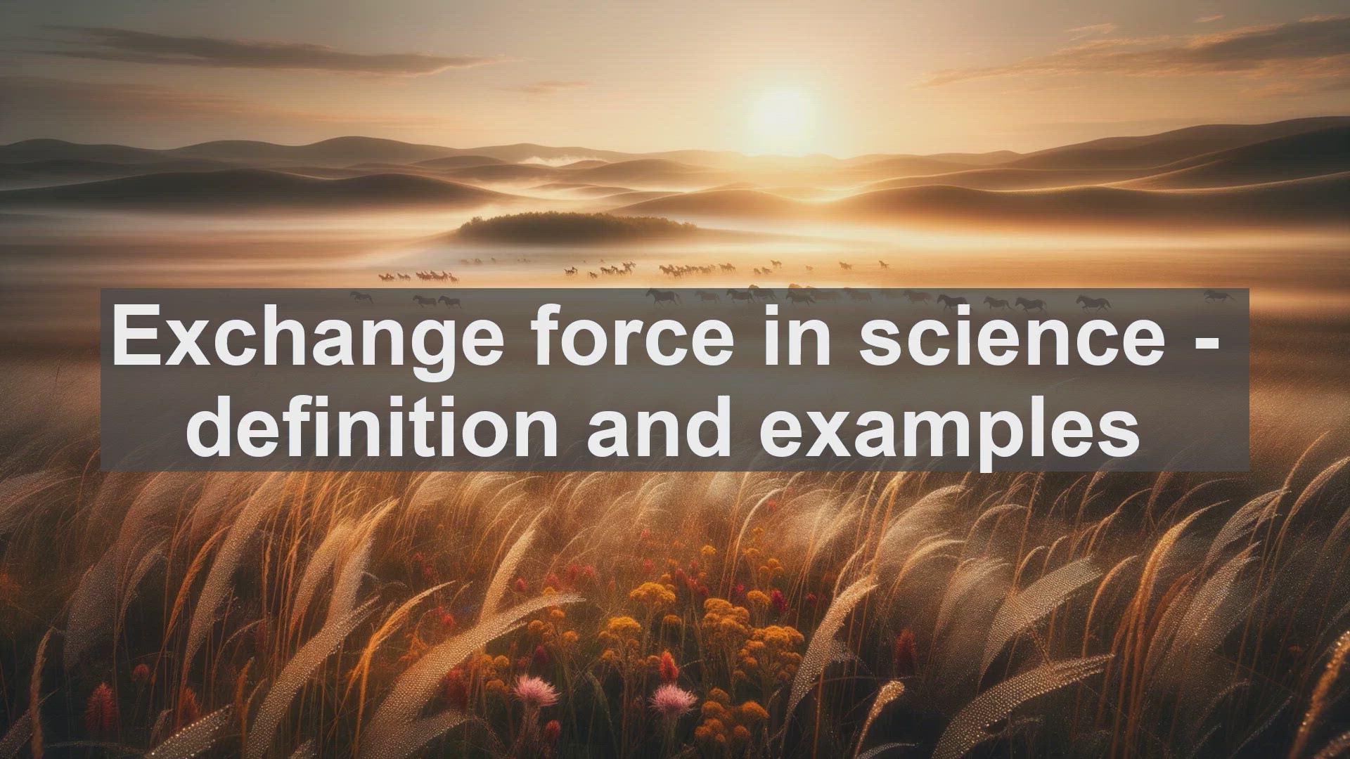 'Video thumbnail for Exchange force in science  definition and examples'