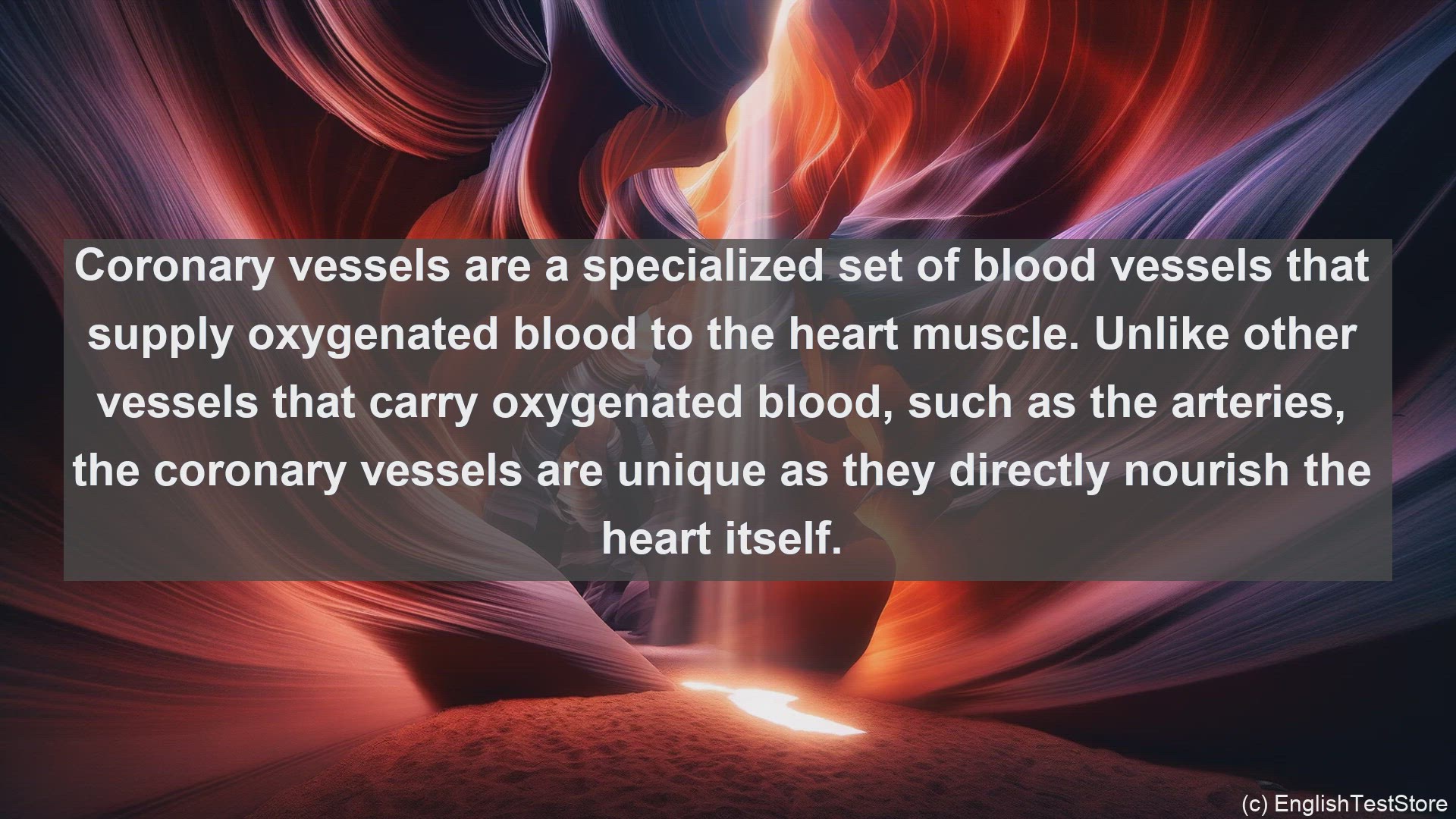 'Video thumbnail for Coronary vessels in science  definition and examples'